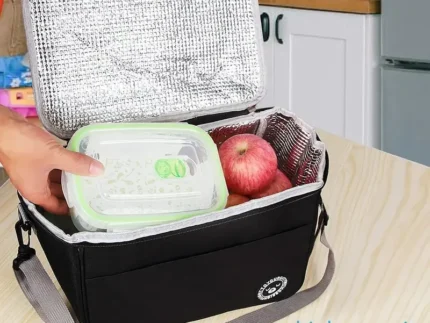 Insulated Lunch Box Bag, Hot and Cold Thermal Picnic Bag, Eco Friendly